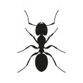 Ant icon. Black Silhouette of an ant. Insect logo. Vector illustration Royalty Free Stock Photo